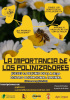 TALLER “LO IMPORTANTE DE LOS POLINIZADORES